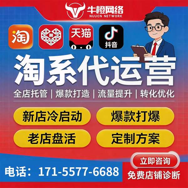 湘潭电商代运营