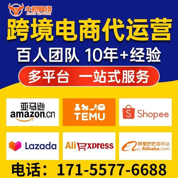 湘潭电商代运营
