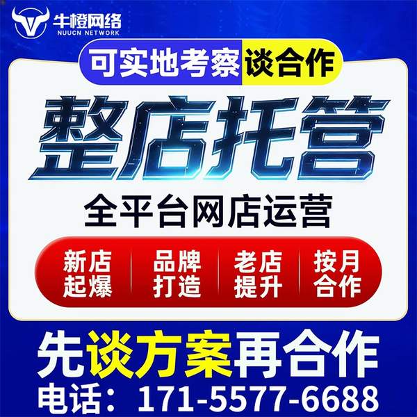 湘潭电商代运营