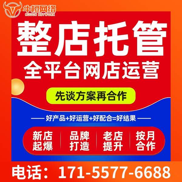 湘潭电商代运营