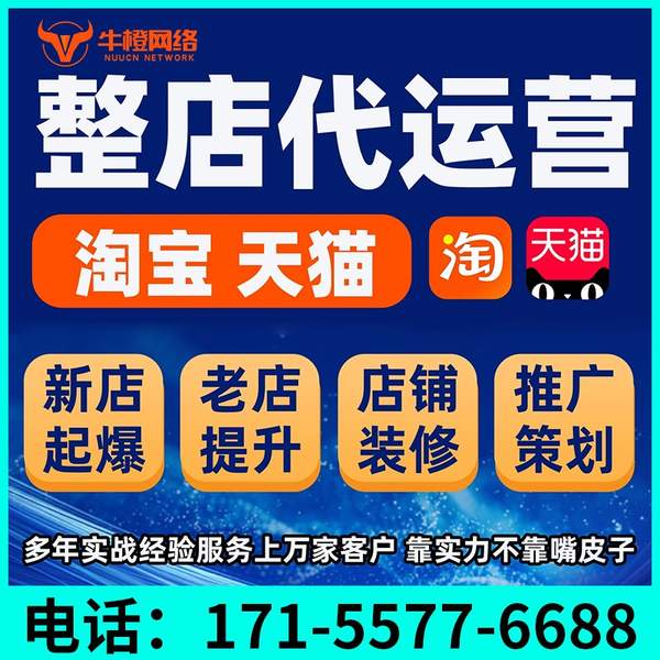 湘潭电商代运营