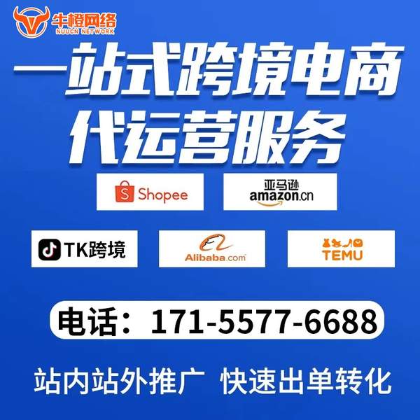 湘潭电商代运营