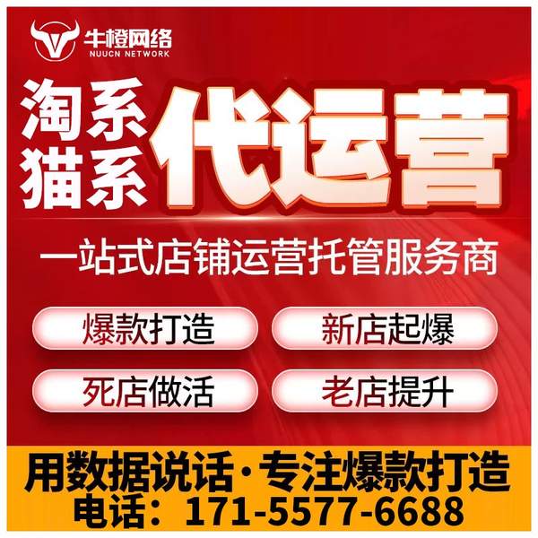 湘潭电商代运营